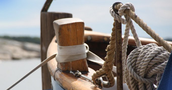 Bluenose contact